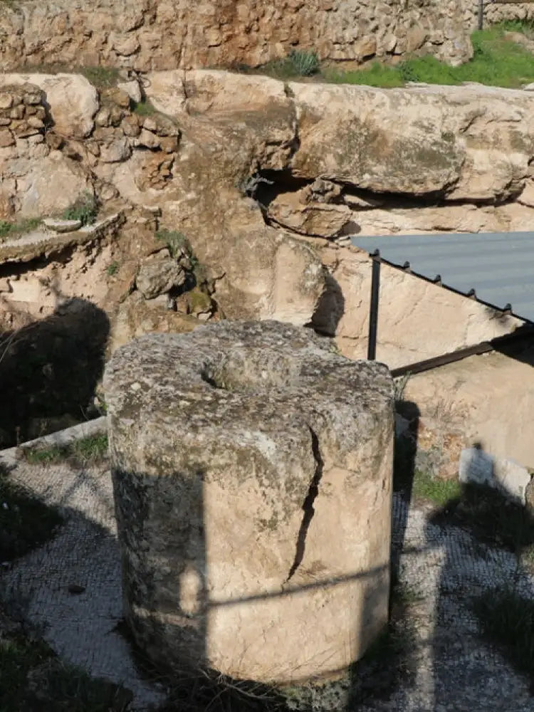 Bethlehem & Dead Sea Full-Day Group Tour - Shared Tours