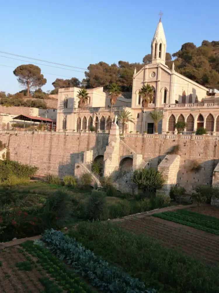 Bethlehem Full Day Private Tour - Private Tours