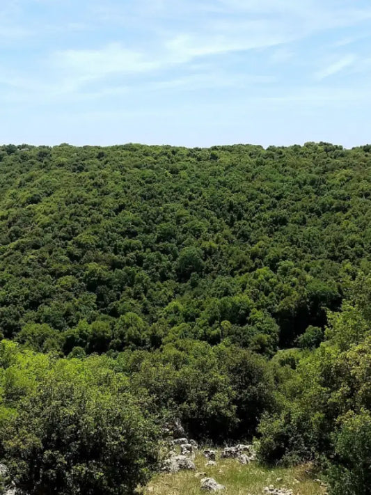 Golan heights private tour from Tel aviv