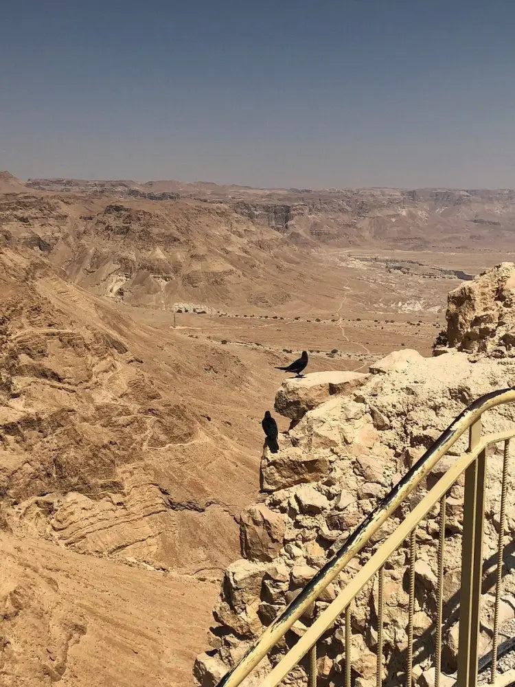 Masada & the Dead Sea Private Tour - Private Tours