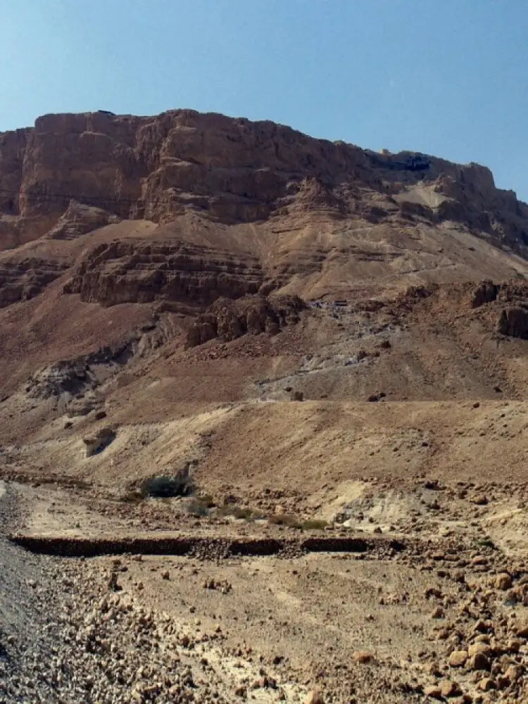 Masada & the Dead Sea Private Tour - Private Tours