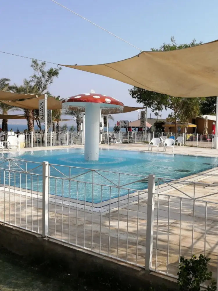 Dead Sea swimming pool trip from Jerusalem and Tel Aviv