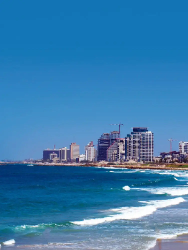 Tel Aviv and Jaffa Old City Private Tour - Private Tours