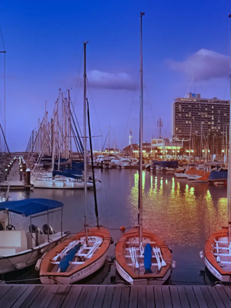 Tel Aviv and Jaffa Old City Private Tour - Private Tours