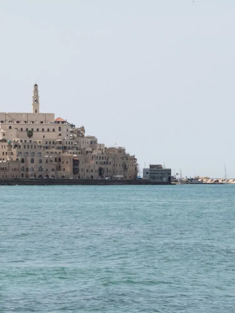 Tel Aviv and Jaffa Old City Private Tour - Private Tours
