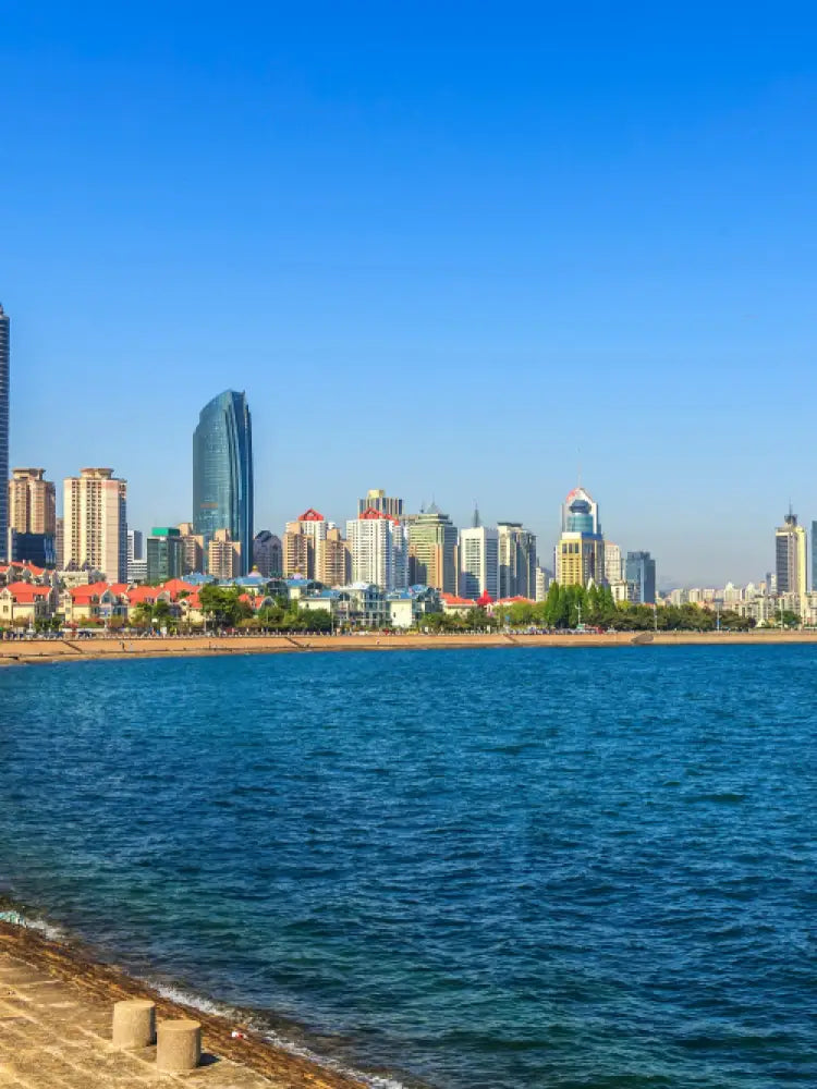 Tel Aviv and Jaffa Old City Private Tour - Private Tours