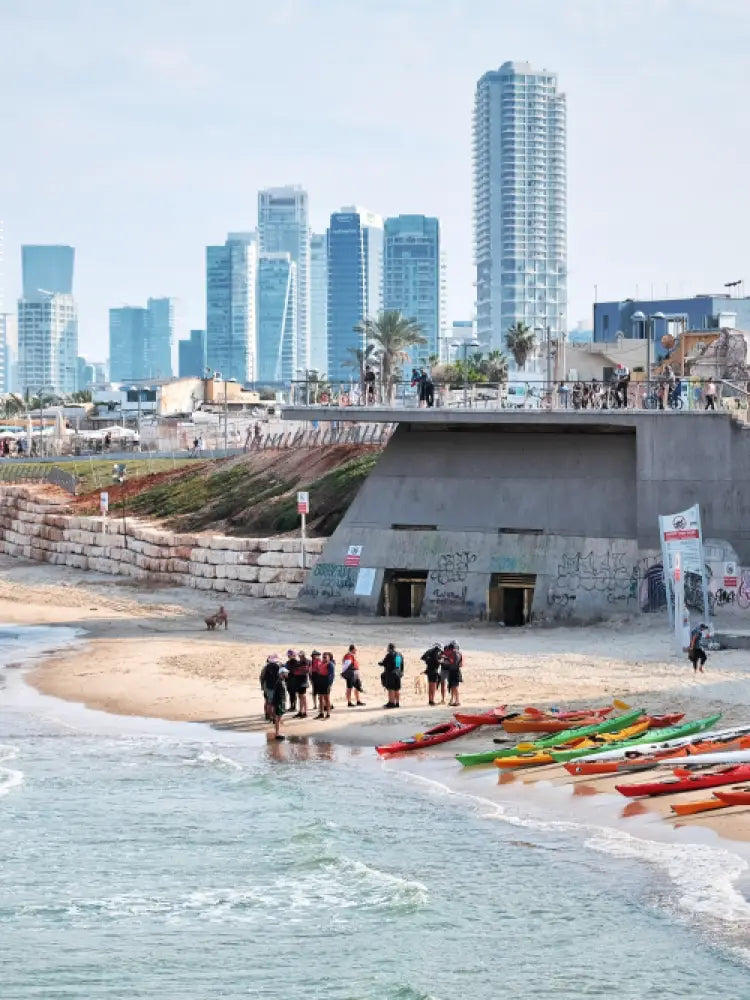 Tel Aviv and Jaffa Old City Private Tour - Private Tours