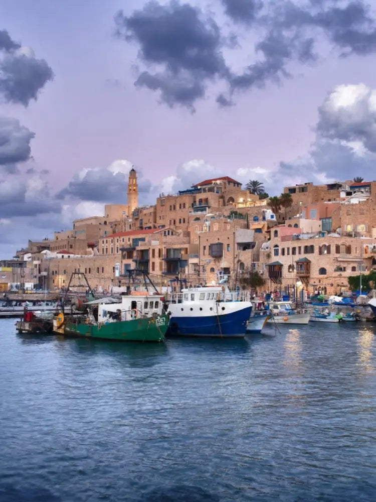 Tel Aviv and Jaffa Old City Private Tour - Private Tours