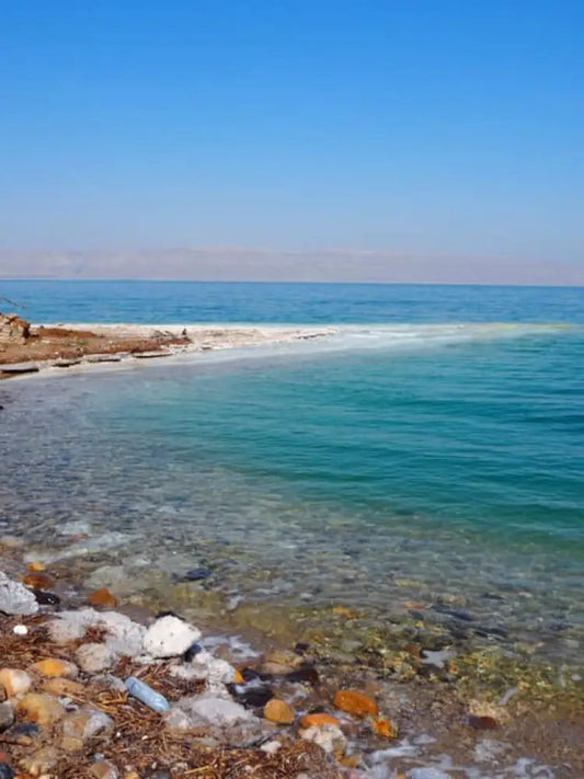 Dead Sea Israel Beach Private Trip from Tel Aviv