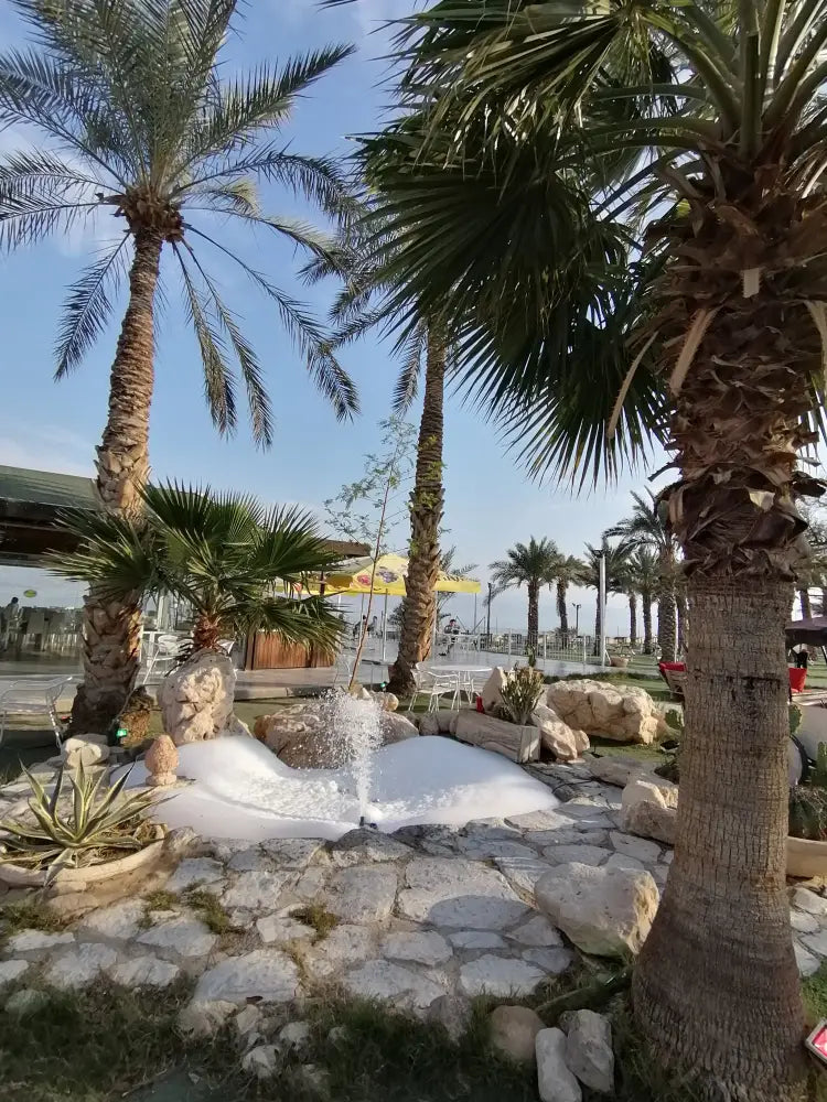 The Dead Sea Half Day Private Tour - Private Tours