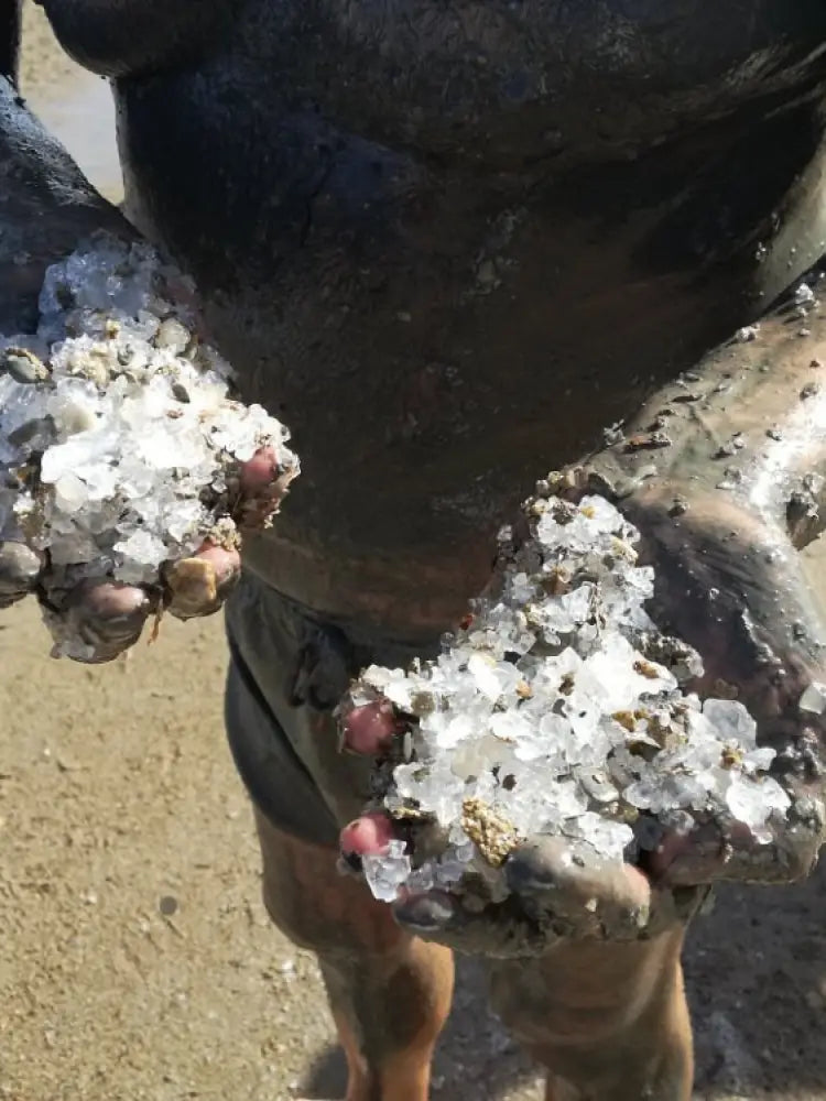 The Dead Sea Half Day Shared Tour - Shared Tours