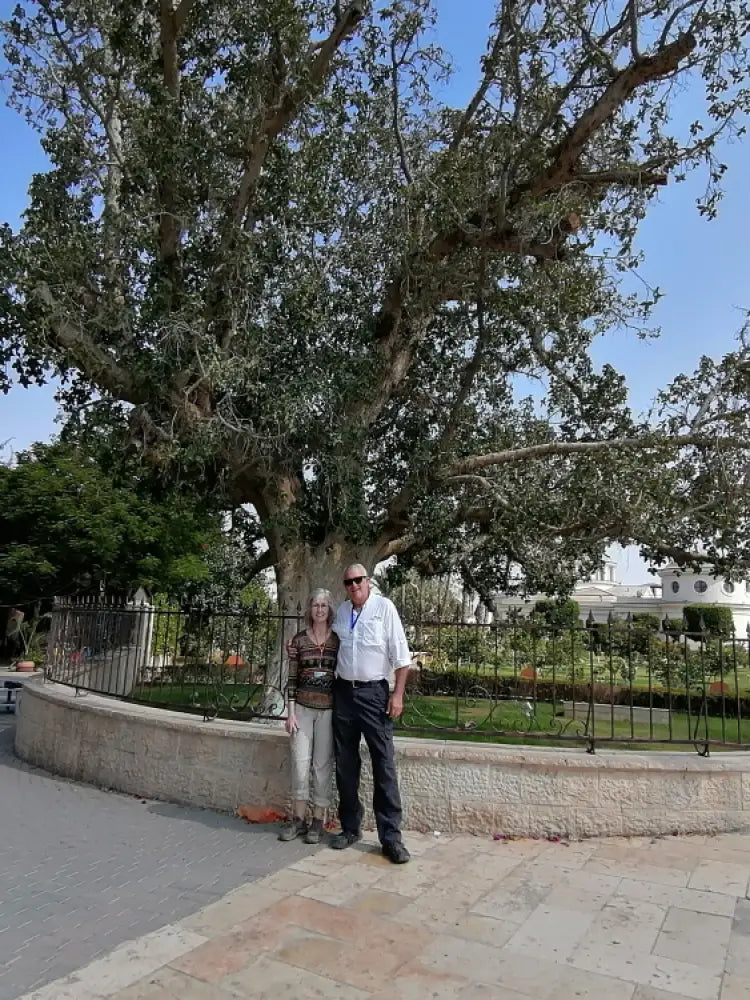 Jordan Baptism, St Gerasimos & Dead Sea Private Tour
