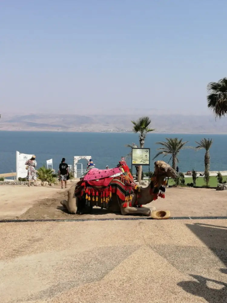 Dead Sea tour from Tel Aviv Private trip
