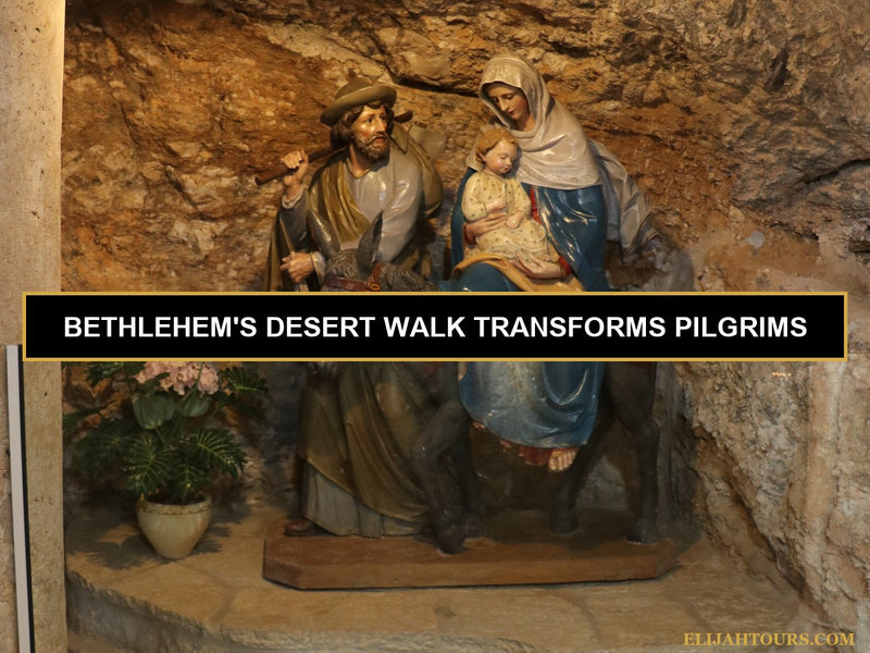 A Full Day in Bethlehem: Walking Through Faith, History, and the Desert