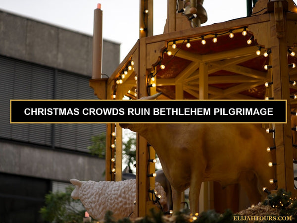Best Time to Visit Bethlehem in 2026: Christmas, Easter, Summer, or Fall? (A Local's Honest Comparison)