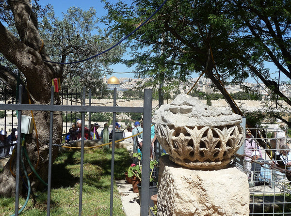 Jerusalem viewed from the Mount of Olives