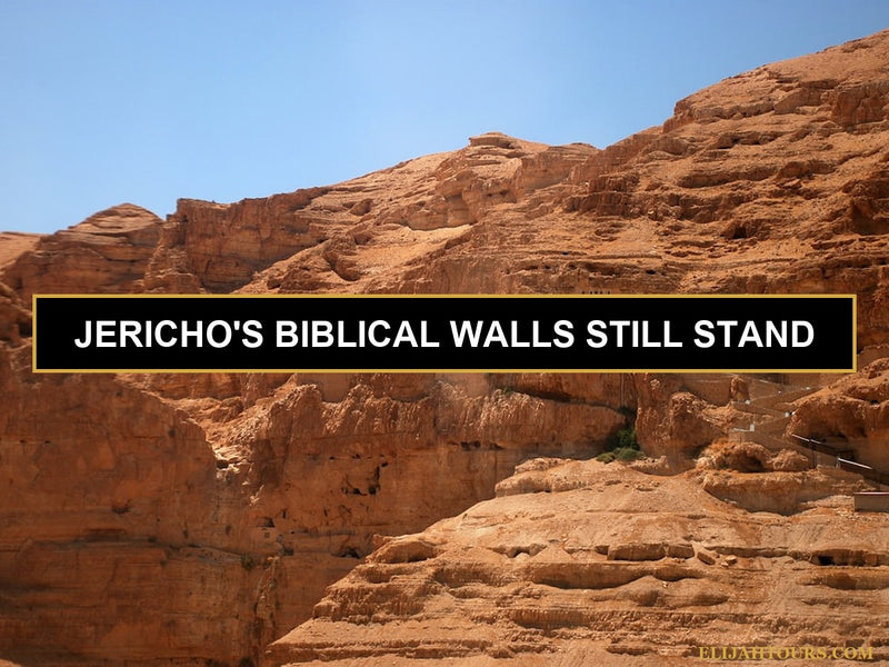 Why Most Tourists Skip Jericho — And Why That’s a Huge Mistake