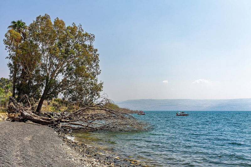 The Sea of Galilee viewed across the water and shoreline