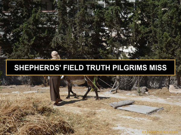 Shepherd's Field in Bethlehem 2026: What the Bible Says and What You'll Actually See