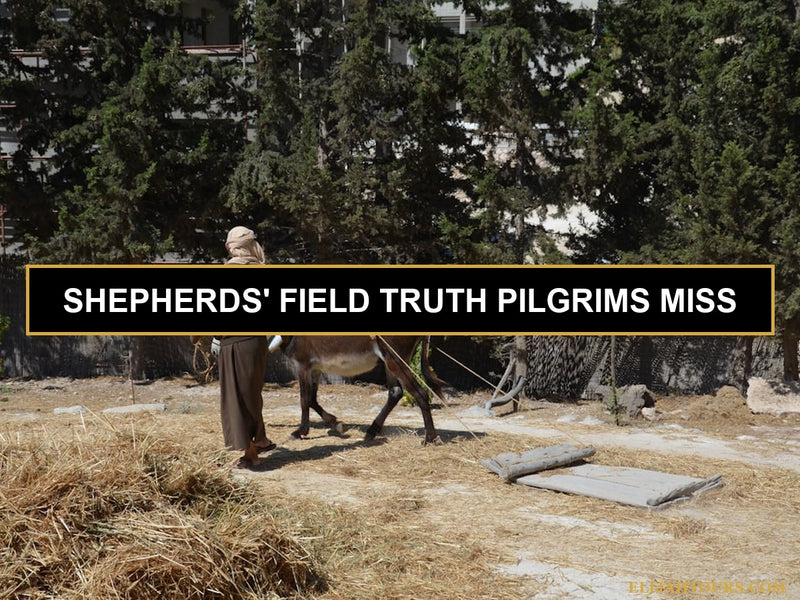 Shepherd's Field in Bethlehem 2026: What the Bible Says and What You'll Actually See