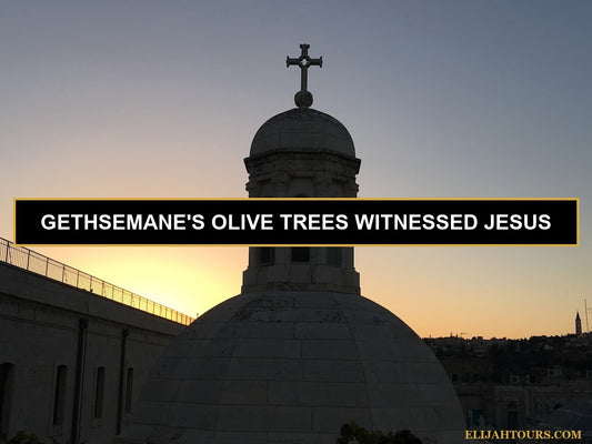 The Mount of Olives Jerusalem Guide 2026: What to See, When to Go, and How to Do It Right
