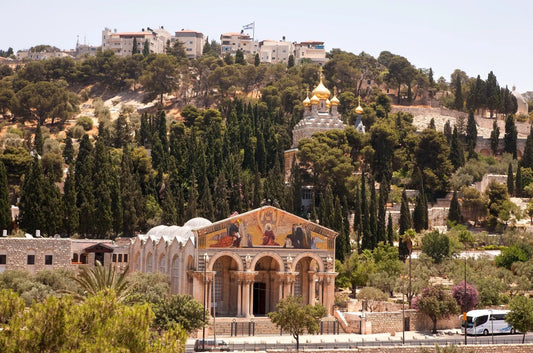 Walking the Mount of Olives A Spiritual Journey in Jerusalem
