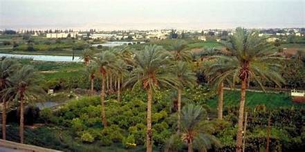 Why Jericho Is the Perfect Winter Escape in the Holy Land