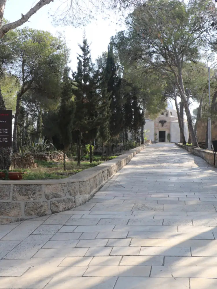 Bethlehem & Church of the Nativity Half-Day Tour - Half Day Tours