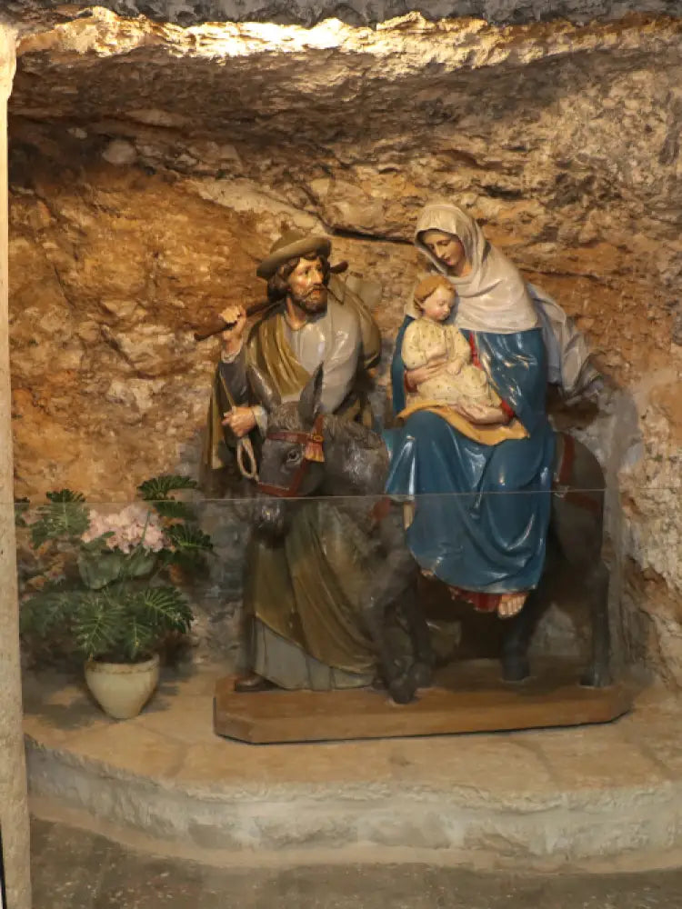Bethlehem & Church of the Nativity Half-Day Tour - Half Day Tours