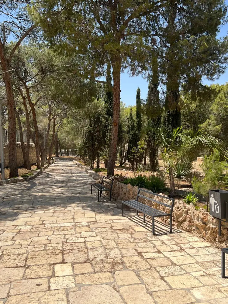 Bethlehem & Church of the Nativity Half-Day Tour - Half Day Tours