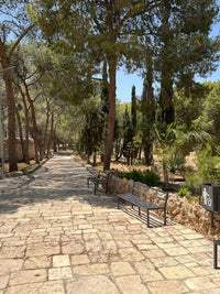 Bethlehem & Church of the Nativity Half-Day Tour - Half Day Tours