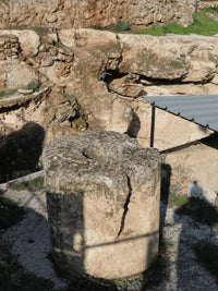 Bethlehem & Dead Sea Full-Day Group Tour - Shared Tours