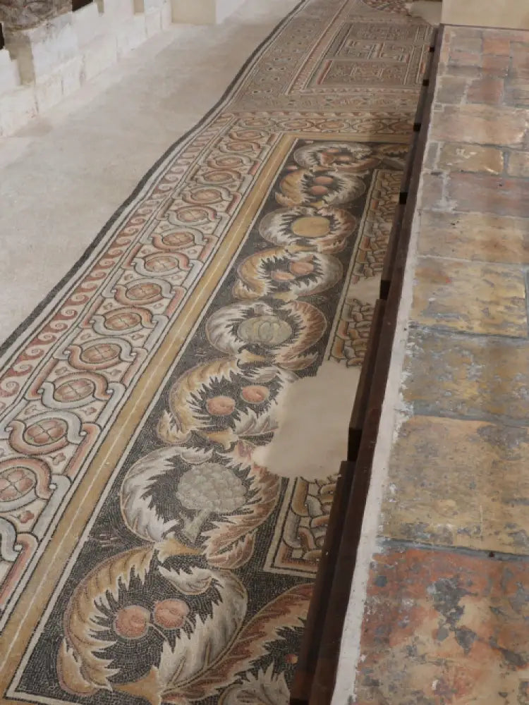 Bethlehem & Dead Sea Full-Day Group Tour - Shared Tours