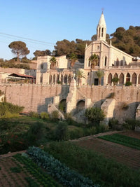 Bethlehem Full Day Private Tour - Private Tours