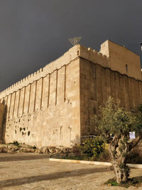 Bethlehem & Hebron Shared Tour - Shared Tours