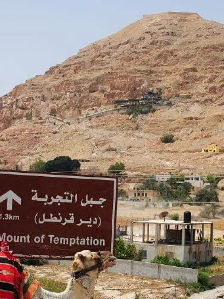 Bethlehem Jericho and Jordan River Full Day Tour - Shared Tour - Shared Tours