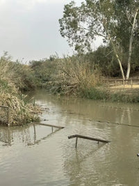 Bethlehem Jericho & Jordan River Full-Day Shared Tour - Shared Tours
