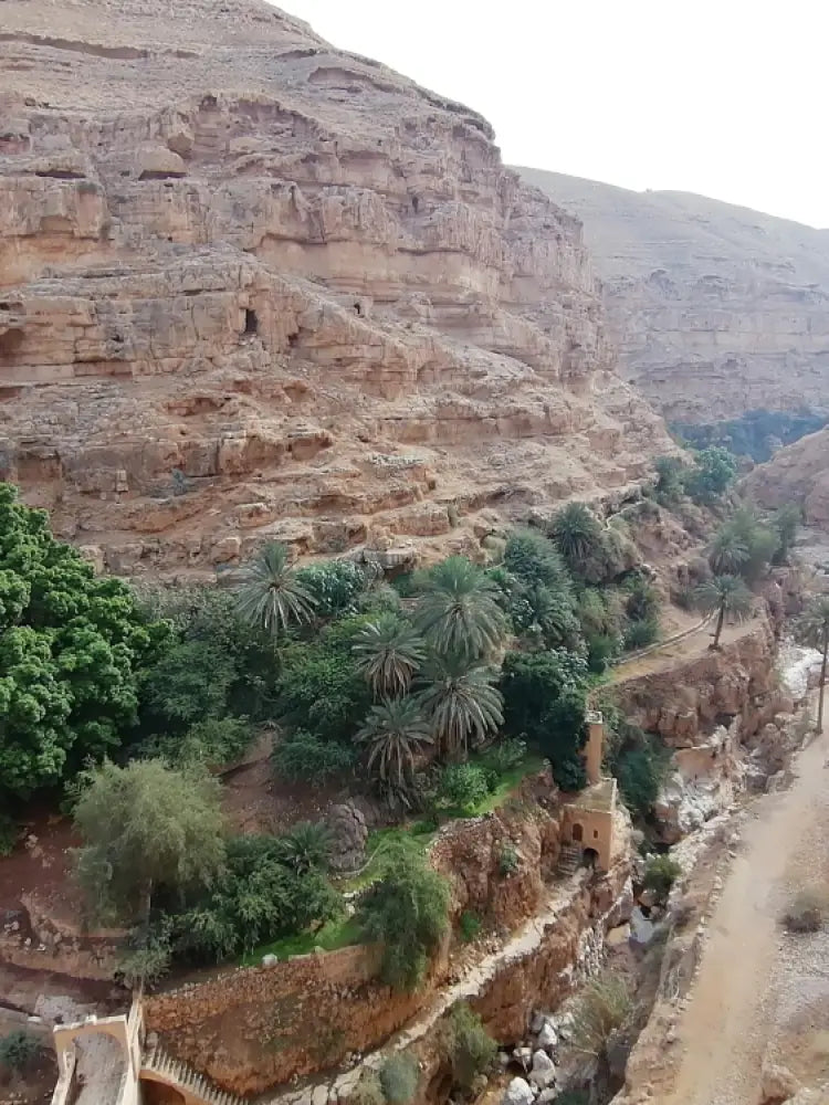 Judean Desert Saint George Monetary Tour to Bethlehem with guide from Jerusalem  