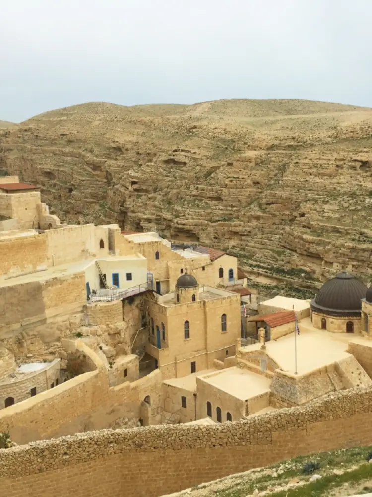 Saint Sabbas monastery Israel trip from Jerusalem with Guide