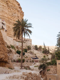 Mount of Temptation Jericho Full Day Tour with Dead Sea from Jerusalem and Tel Aviv