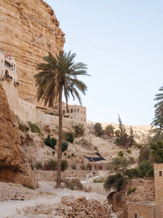 Mount of Temptation Jericho Full Day Tour with Dead Sea from Jerusalem and Tel Aviv