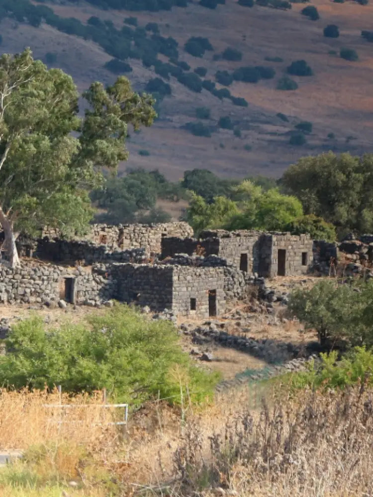 visit golan heights winery from Jerusalem
