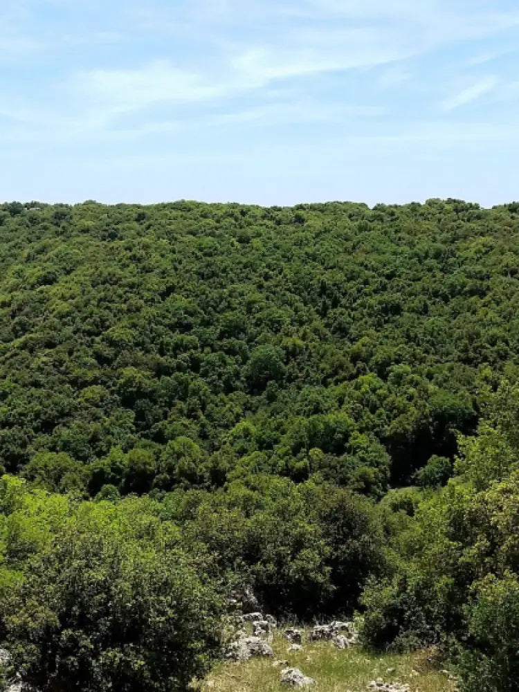 Golan heights private tour from Tel aviv