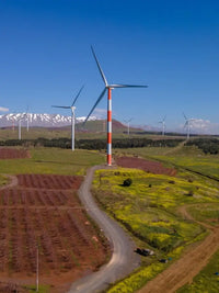 Golan heights private tour with guide