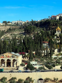 Jerusalem Church of all Nation mount of olives tour from Jerusalem or Tel Aviv with guide