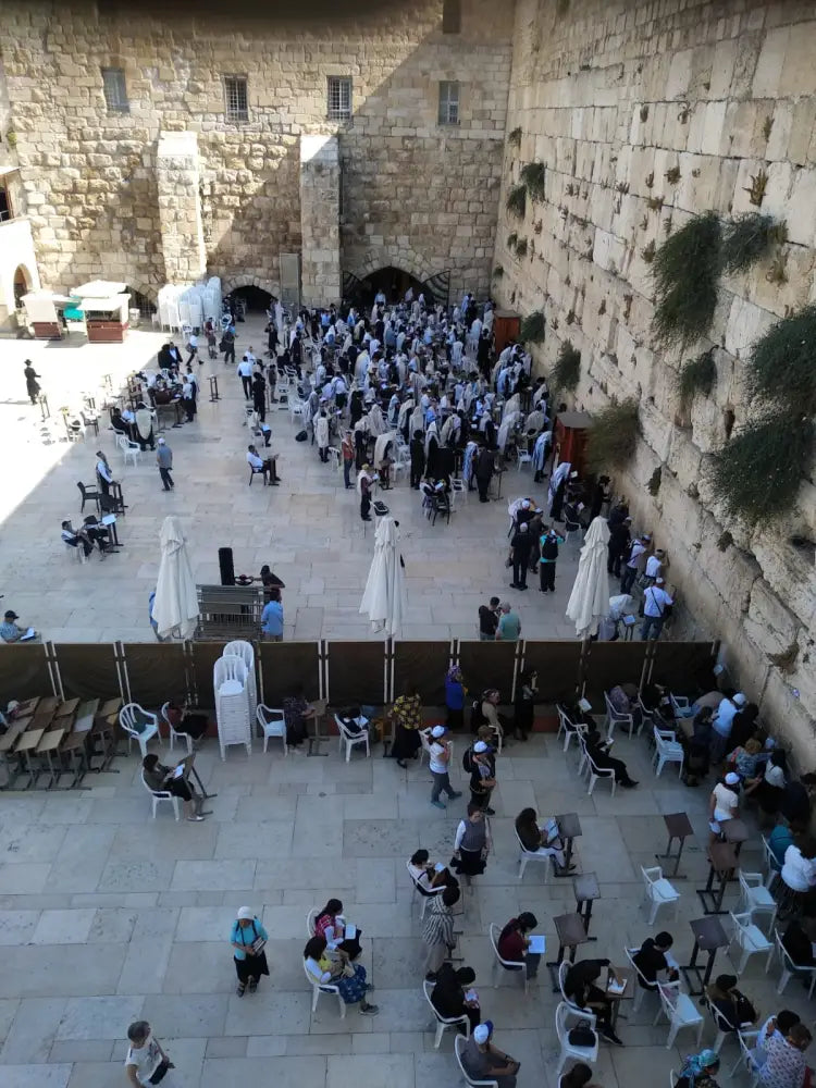 Jerusalem Full Day Tour - Shared Tours