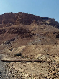 Masada & the Dead Sea Private Tour - Private Tours