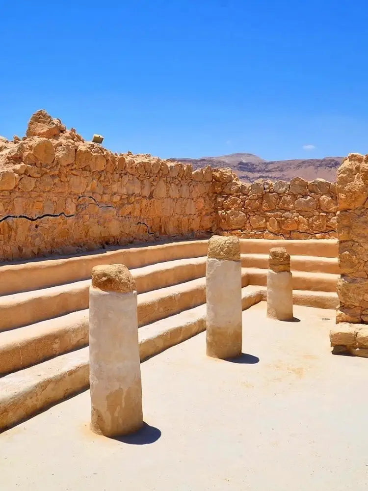 Masada & the Dead Sea Private Tour - Private Tours