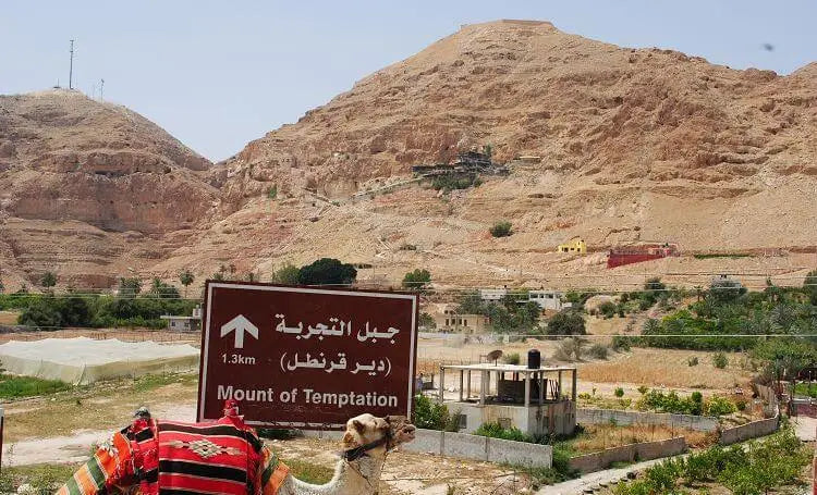 Why Most Tourists Skip Jericho — And Why That’s a Huge Mistake