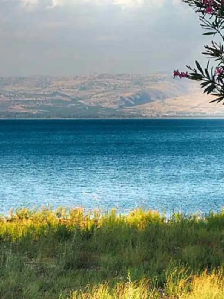 Sea of Galilee private trip israel travel from Jerusalem or Tel Aviv